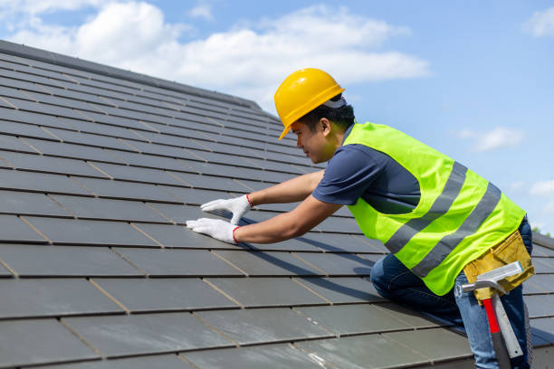 Best Roof Maintenance Services  in Rockford, MI